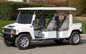 affordable golf cart rental, golf cart rent juno beach, cart rental juno beach